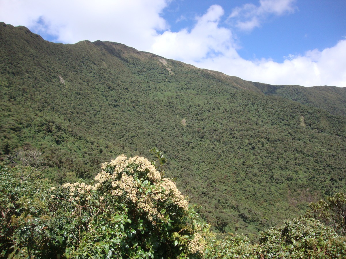 null - ML658490782
