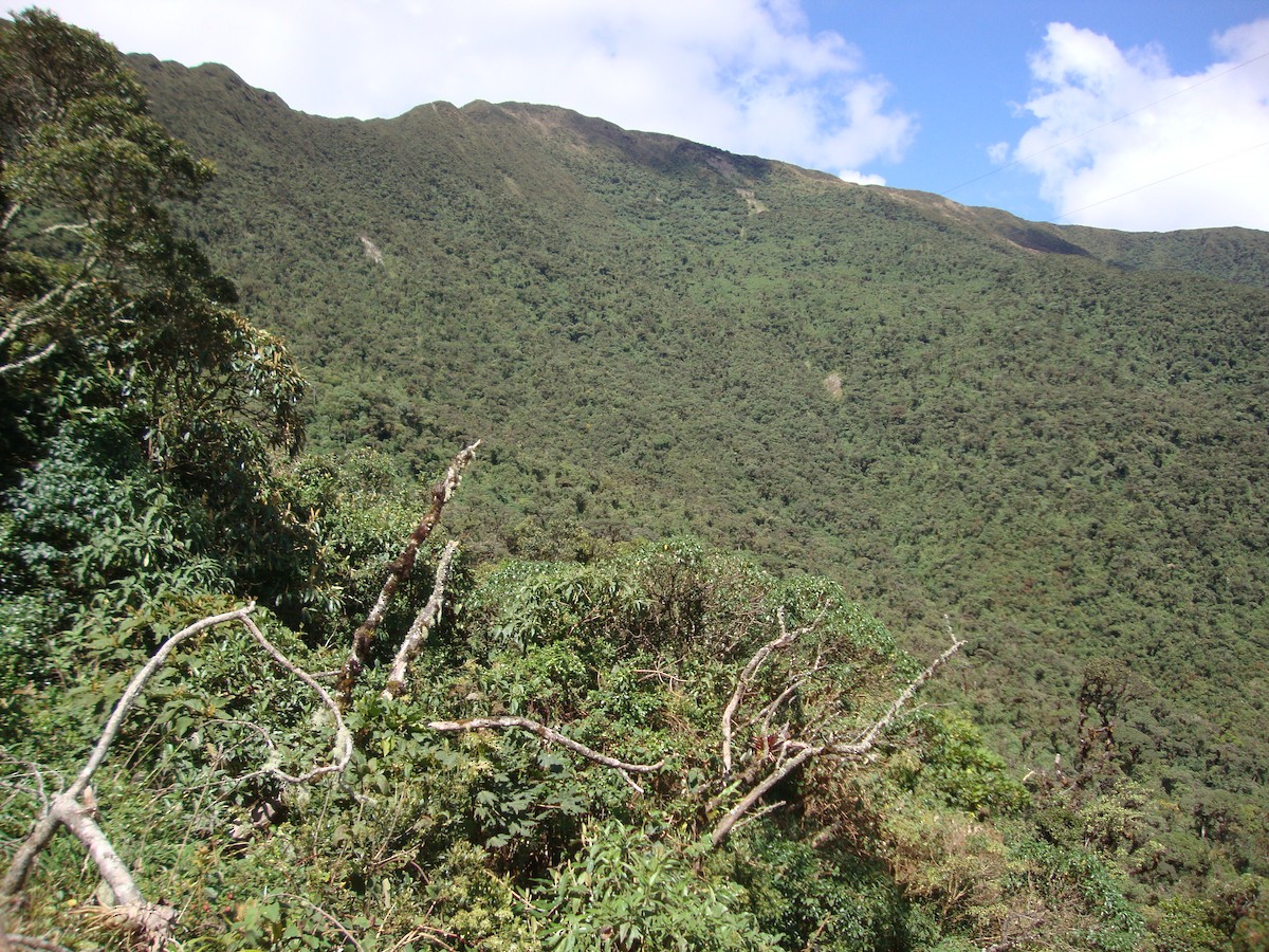 null - ML658490784