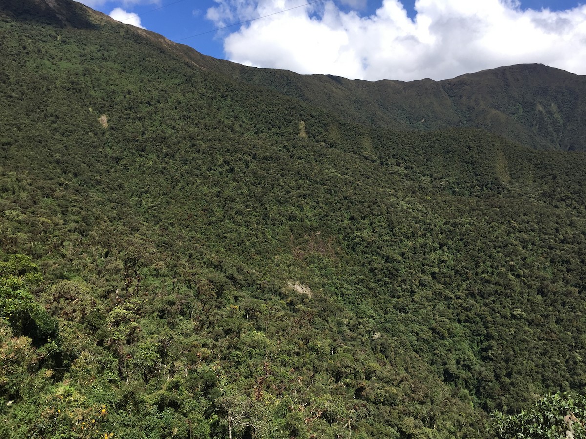 null - ML658490790