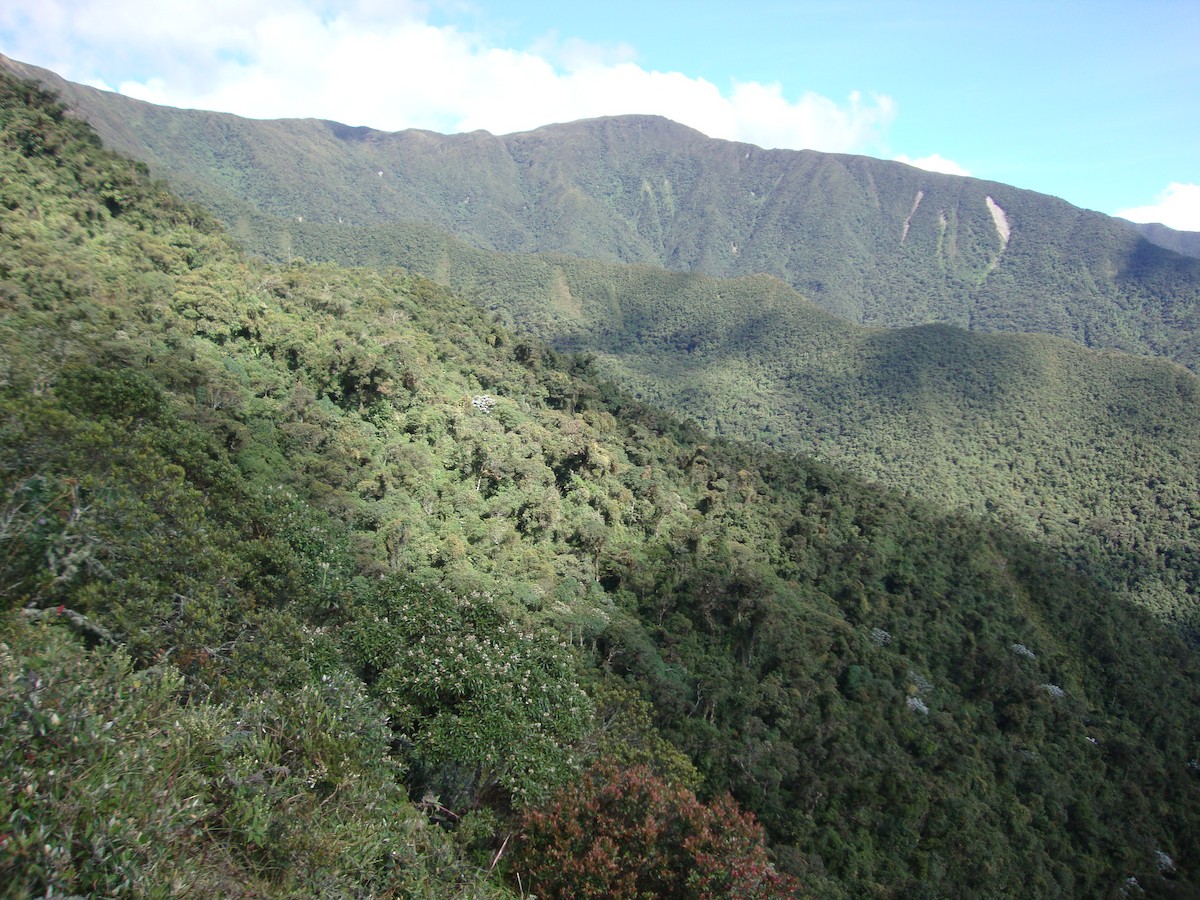 null - ML658490988
