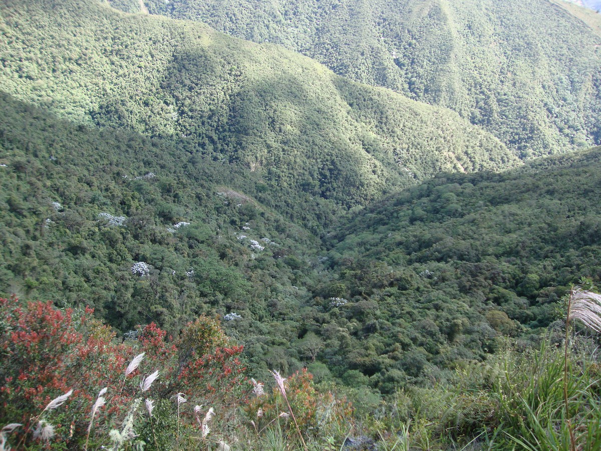 null - ML658490989