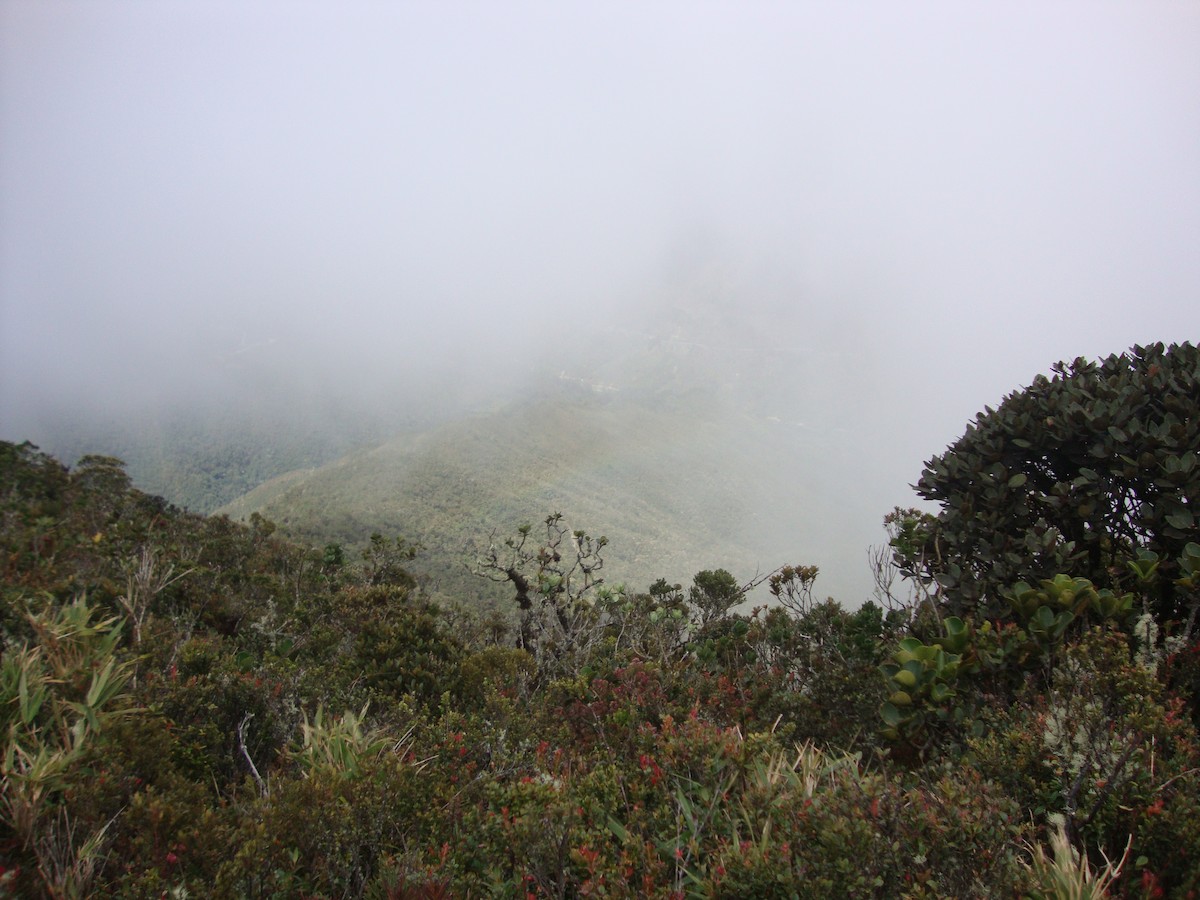 null - ML658491817
