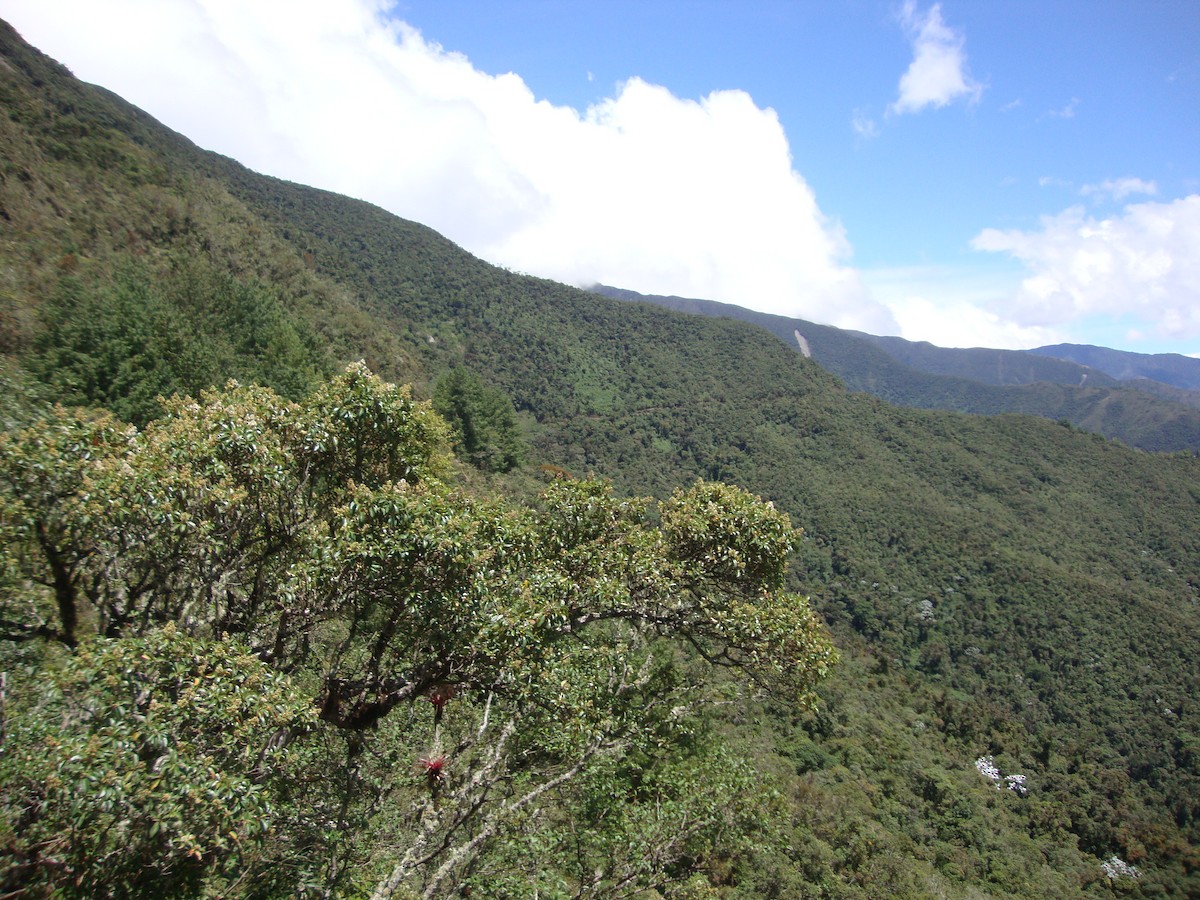 null - ML658491894