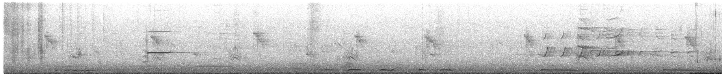 pygmérørdrum - ML658503802