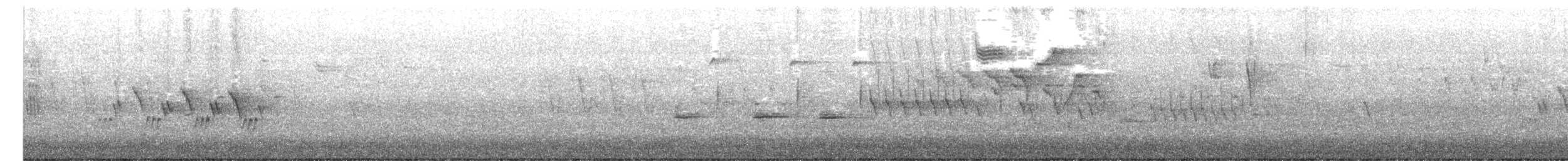 Mourning Warbler - ML658531746