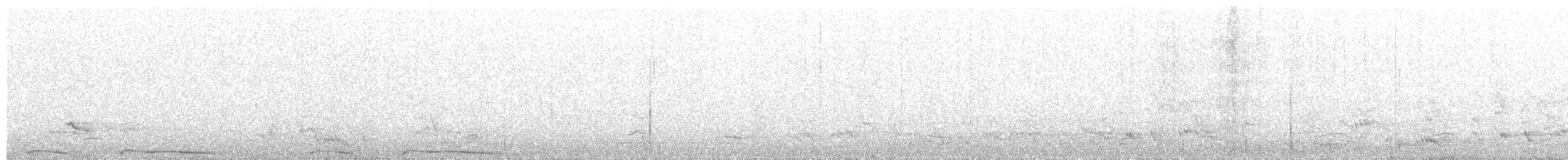 Plain Pigeon - ML658540928
