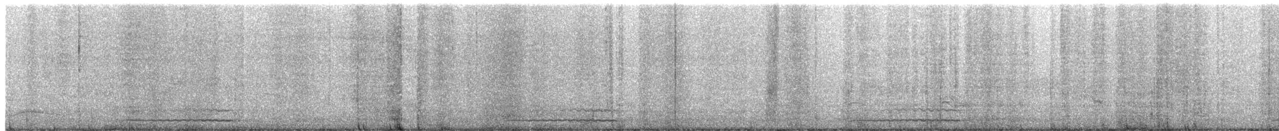 Eastern Screech-Owl (McCall's) - ML658551302