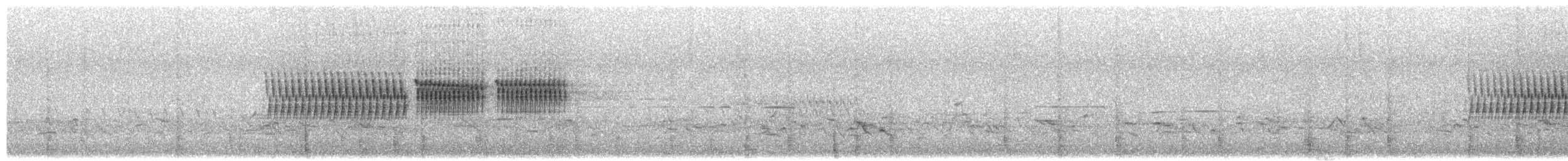 Dark-eyed Junco - ML658557454