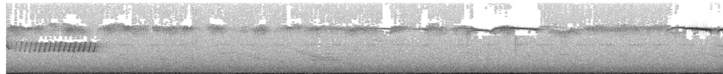 Pine Warbler - ML658559672