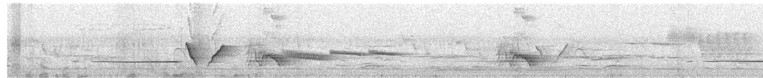 Горная широкохвостка - ML658581285