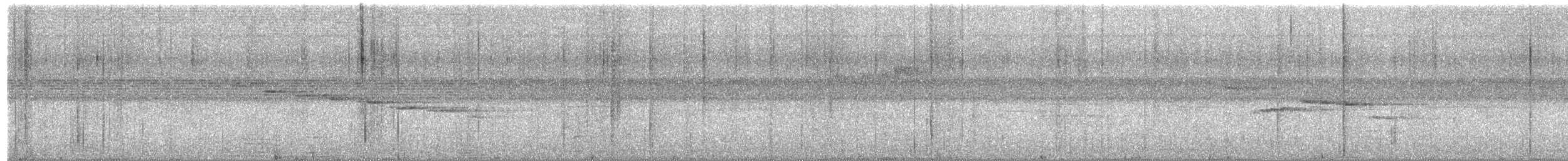 Cyornis sp. - ML658584883
