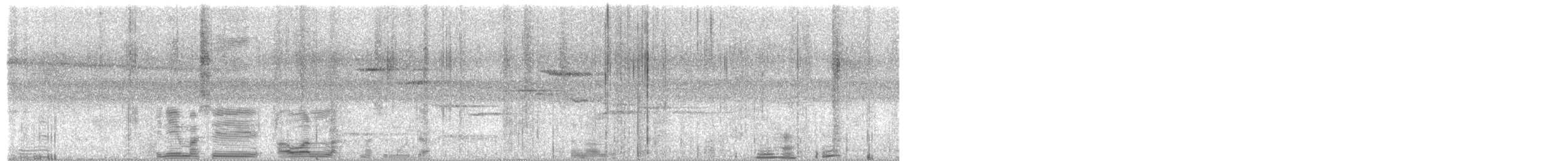 Cyornis sp. - ML658585198