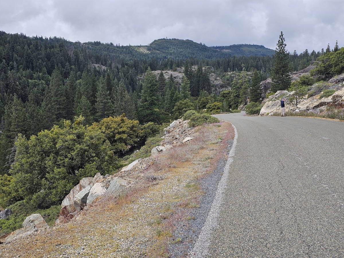 null - ML658587161
