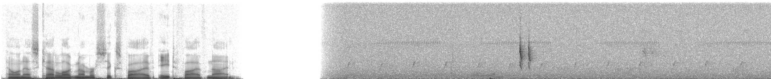 Gray-streaked Honeyeater - ML65859