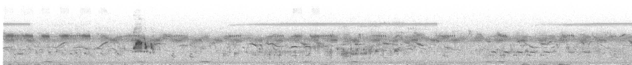 Little Bittern - ML658612241
