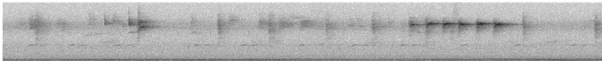 Striated Thornbill - ML658627307