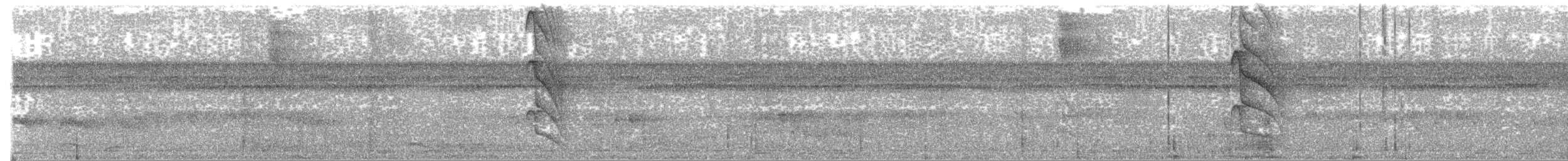Ochre-bellied Flycatcher - ML658627387