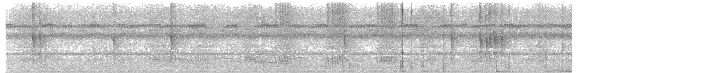 Lunulated Antbird - ML658627978