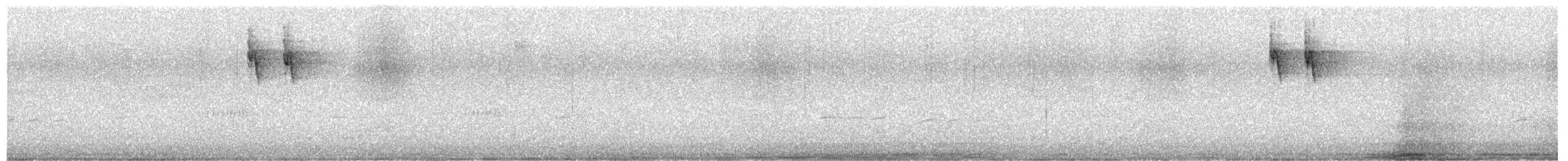 Red-browed Firetail - ML658628924