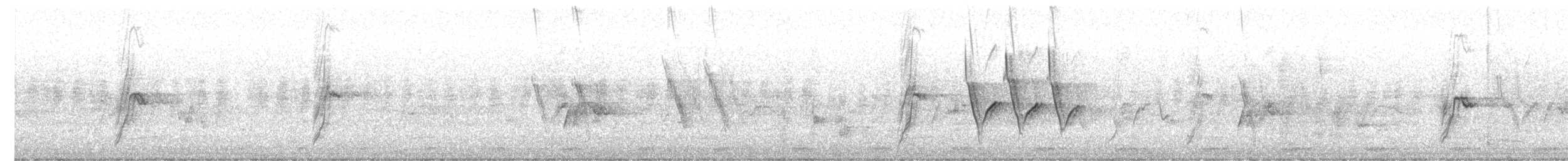 African Pied Wagtail - ML658637848