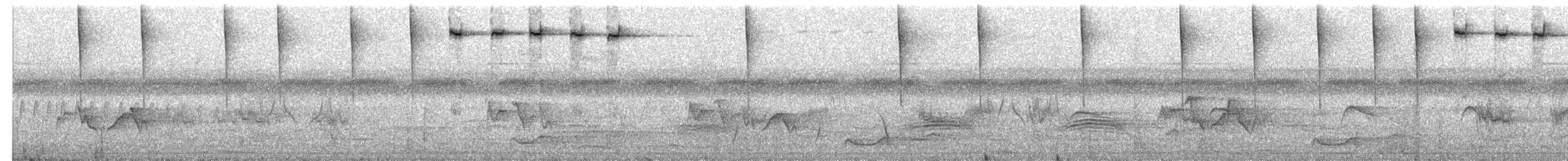 Calliste tacheté - ML658673947