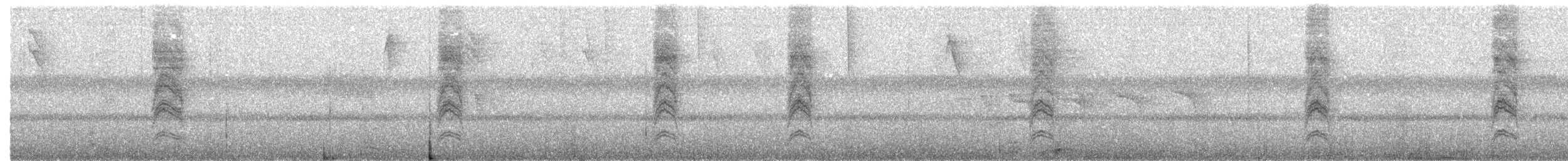 Calliste syacou - ML658673951