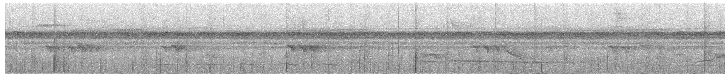 Lamprospize noir et blanc - ML658674919