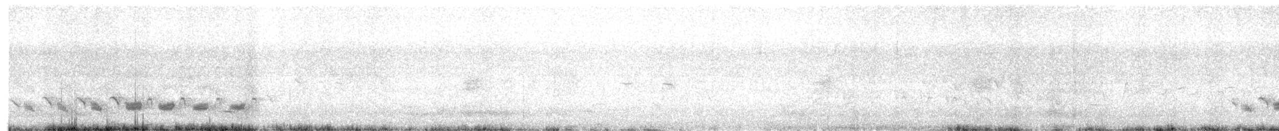 Fauvette orphée - ML658675126