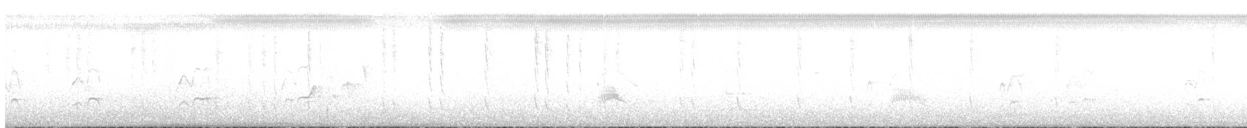 Collared Ground Cricket - ML658695367