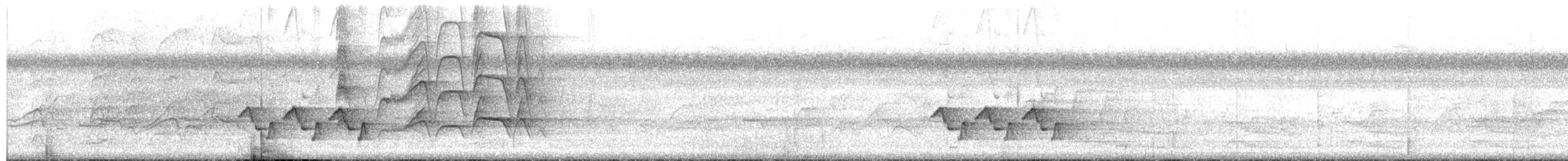 チャバラマユミソサザイ - ML658736252