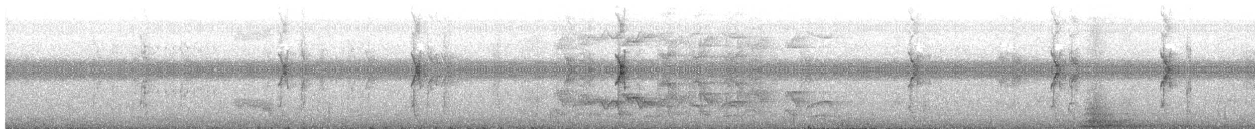 koboltpapitt - ML658744087