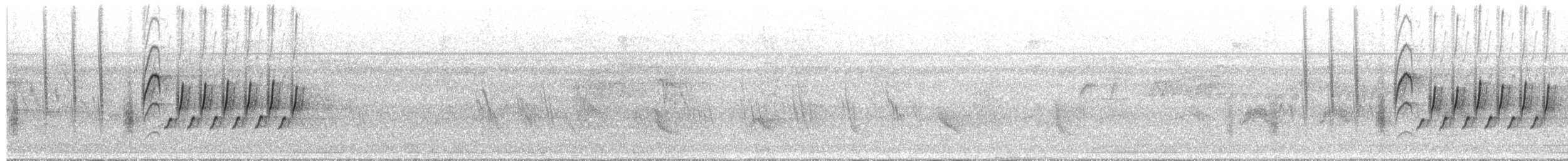 Southern House Wren - ML658756309