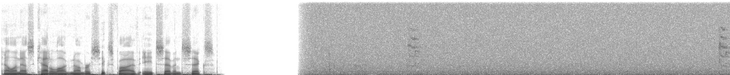 Kısa Gagalı Katmerkuyruk - ML65876