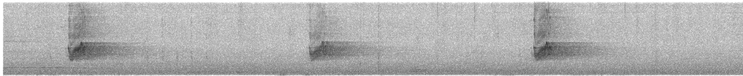 Savanna Nightjar - ML658784231