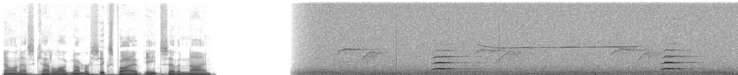 Дивоптах-шилодзьоб бурий - ML65879
