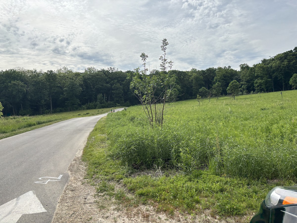null - ML658796671