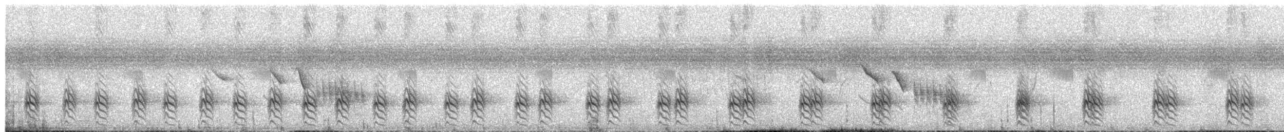 Spot-flanked Barbet - ML658814966