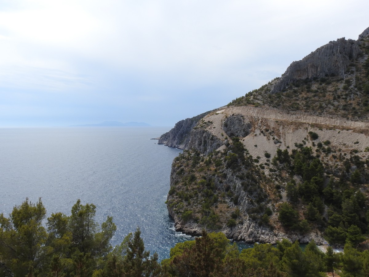 null - ML658846164