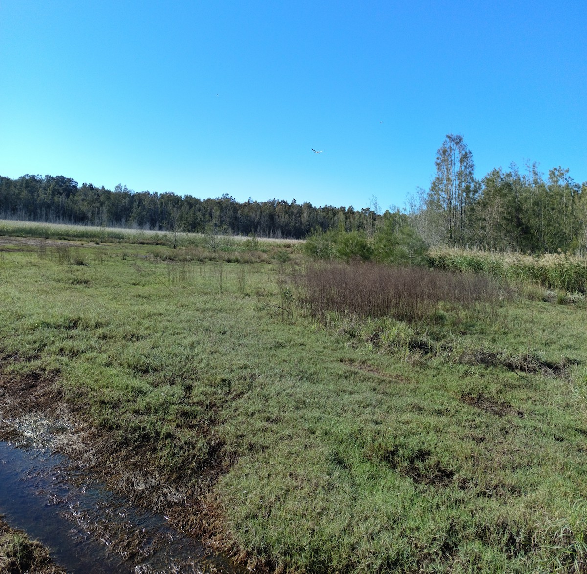 null - ML658848735