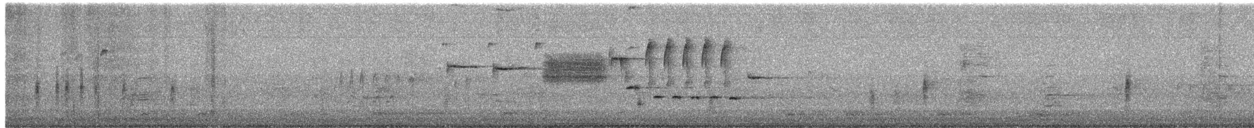 amerikakråke - ML658863485