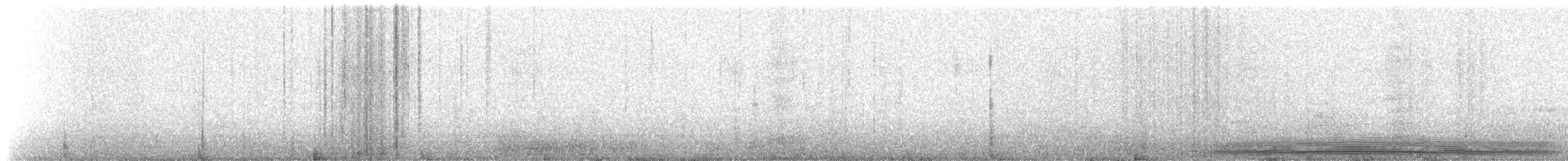 Atlantic Puffin - ML658873516
