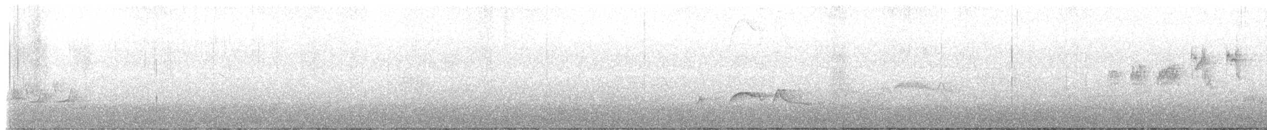 Townsend's Warbler - ML658874414