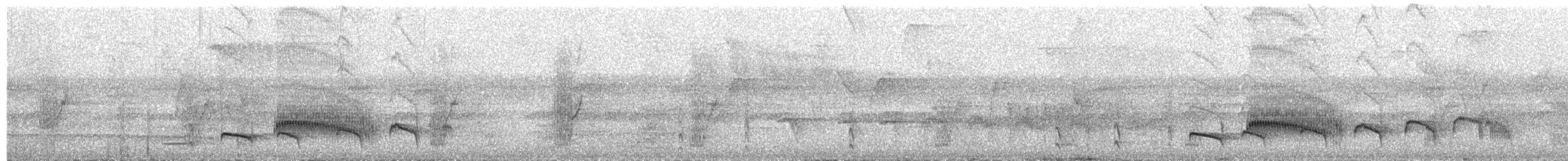 Riparian Antbird - ML658888837