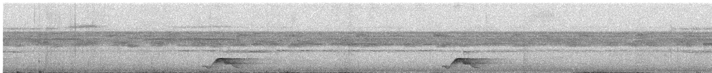 Common Pauraque - ML658893179