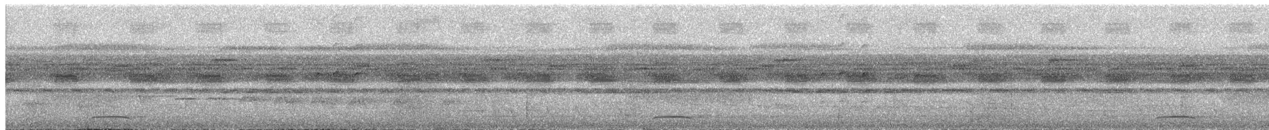 Collared Forest-Falcon - ML658893185