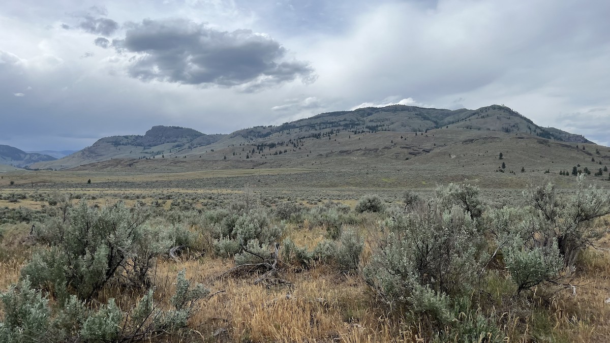 null - ML658910237