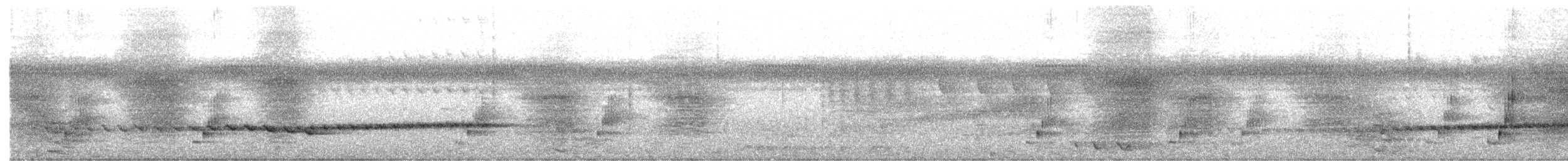 Shining Flycatcher - ML658913672