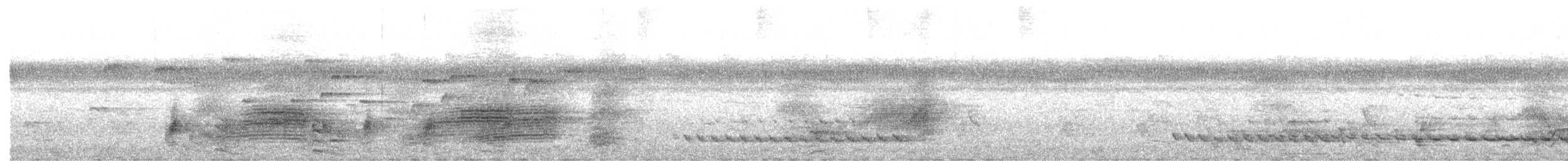 Shining Flycatcher - ML658913708