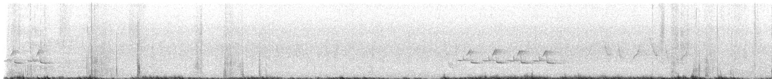 Carolina Wren - ML658916198