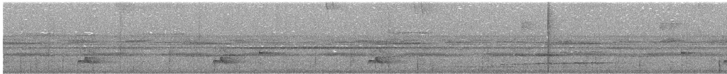 Grayish Mourner - ML658938428